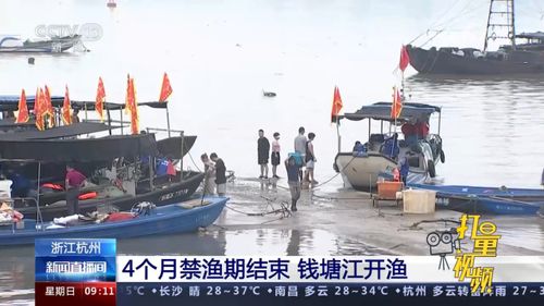 钱塘江将进入禁渔期