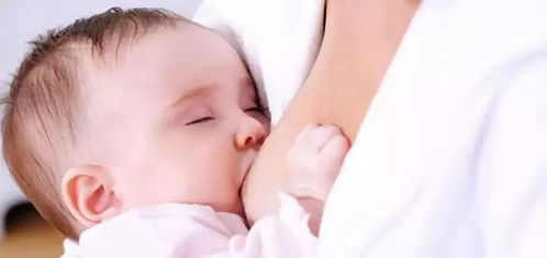 春天养乳腺最佳季节