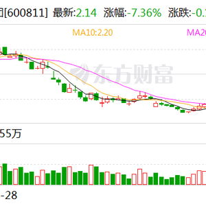 东方集团涉财务造假