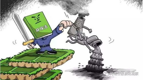 打击摆拍卖惨违法案