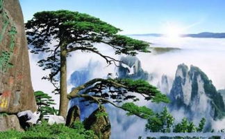 黄山对女性免票7天