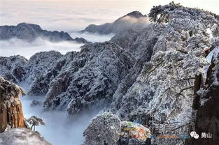 黄山对女性免票7天