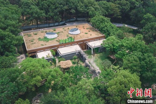 建议建立国家动物园