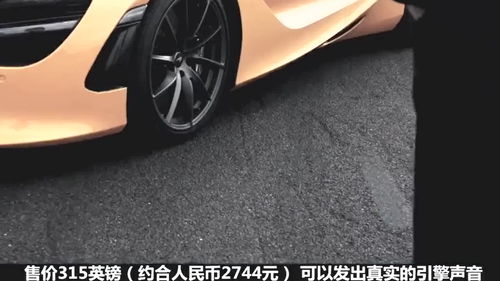 夫妻带3岁孩子跑车