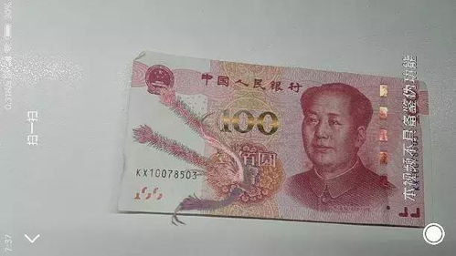 桥下现大量百元大钞