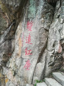 泰山陪爬年入30多万
