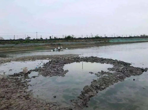 呕吐不止查是青光眼