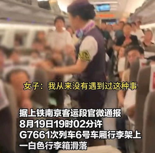 女子高铁被行李砸晕