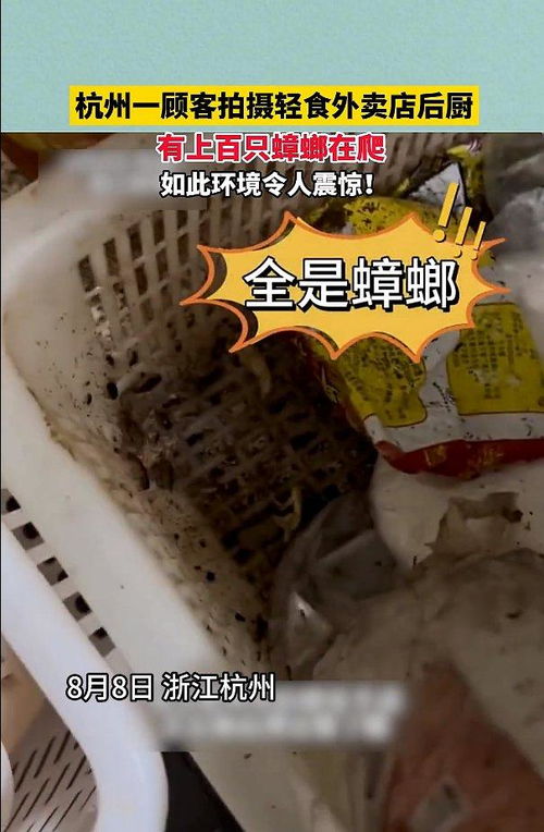 华莱士后厨蟑螂乱爬
