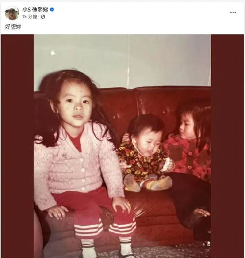 大S今下葬家人送行