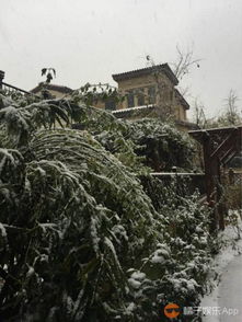 北京竟然下雪了