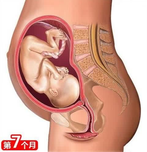 孕妇标价10万送胎儿