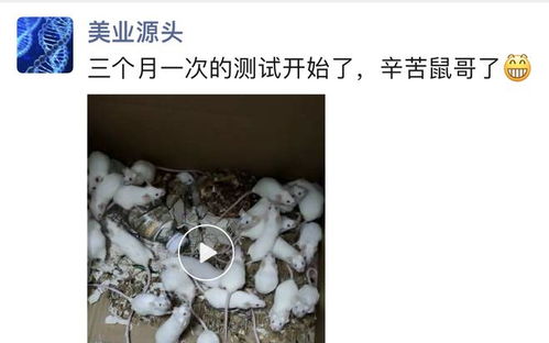 假肉毒出厂20卖上千