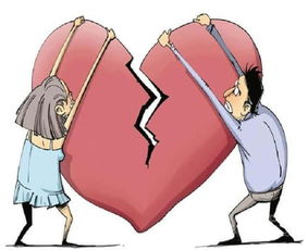 中介为涨粉造谣被撞