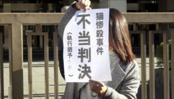 因虐猫被判40年监禁