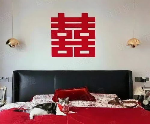 公公给陪嫁猫做小床