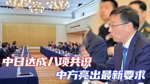 中日达成二十项共识