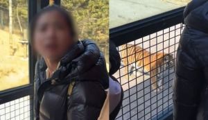 女生劝阻吸烟被怼