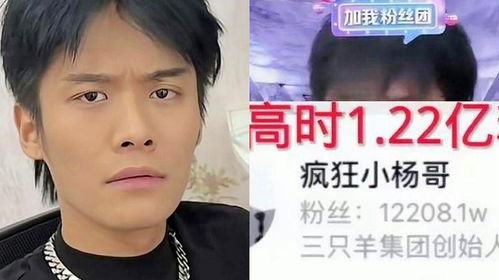 小杨哥掉粉超1200万 小杨哥掉粉超1200万