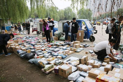 高空抛物砸死快递员