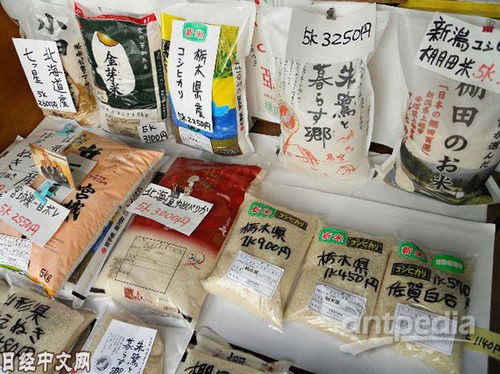 印全面解禁大米出口 印全面解禁大米出口