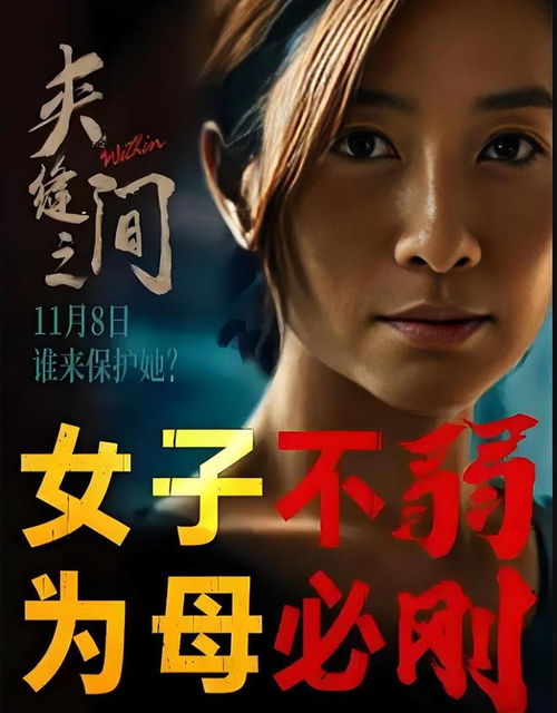 陶昕然离婚