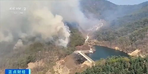 韩国山火已造成27死