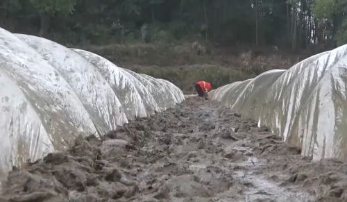 江西遇强对流天气