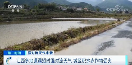 江西遇强对流天气