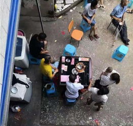 女子1年假结婚八次