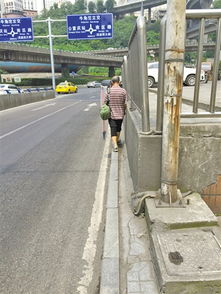 上海人行道仅10cm