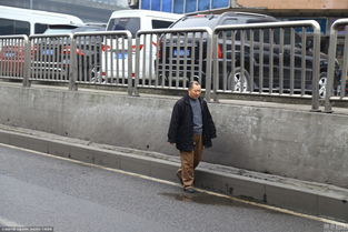 上海人行道仅10cm