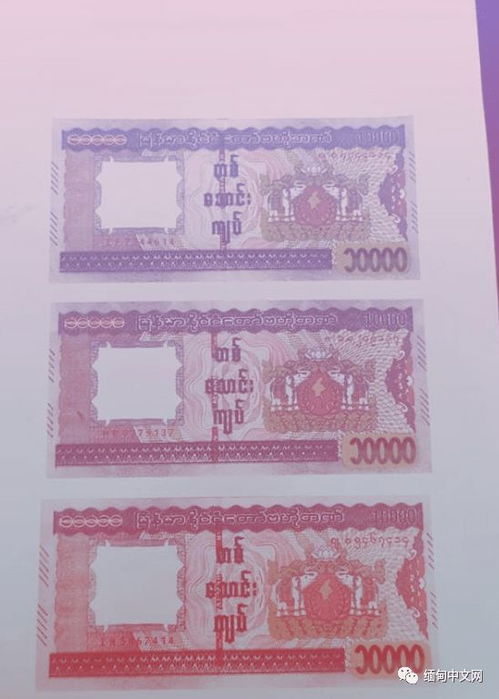 政府向缅提供1亿元