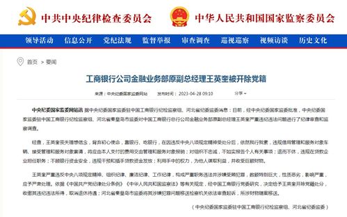 江国林被开除党籍