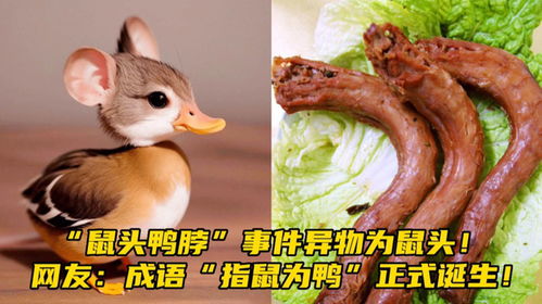 指鼠为鸭局长疑升职