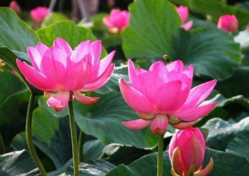 花4元中了1242万