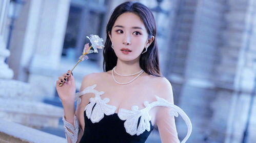 杨幂申请强制执行