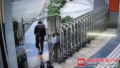 小区电梯内被狗咬伤 小区电梯内被狗咬伤