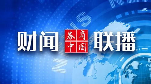 公安局回应网络攻击