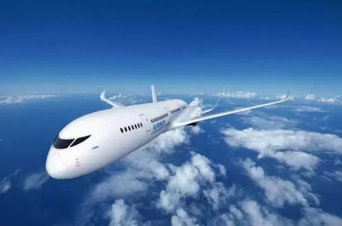 美国飞机空中丢了门