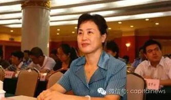 黄志刚被开除党籍 黄志刚被开除党籍