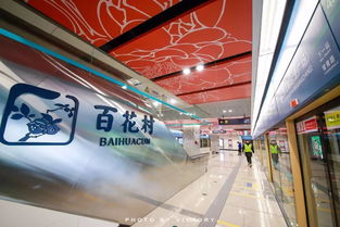 地铁站成网红打卡点