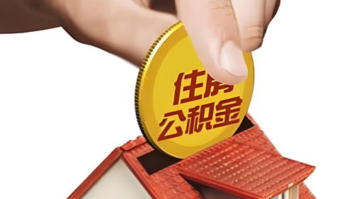 贷款百万买金遇暴跌