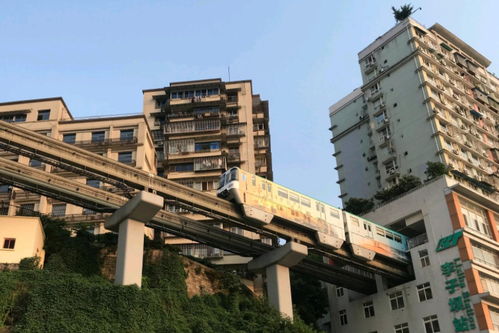 清明最热门城市出炉