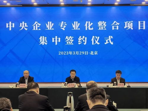 国资委发声