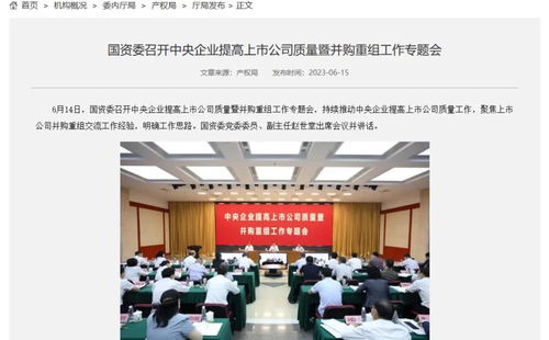 国资委发声