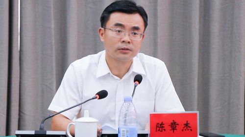 80后书记蒋明明投案