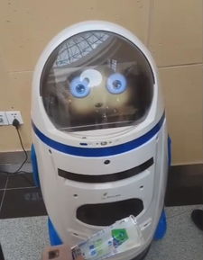 成都养老机器人上岗