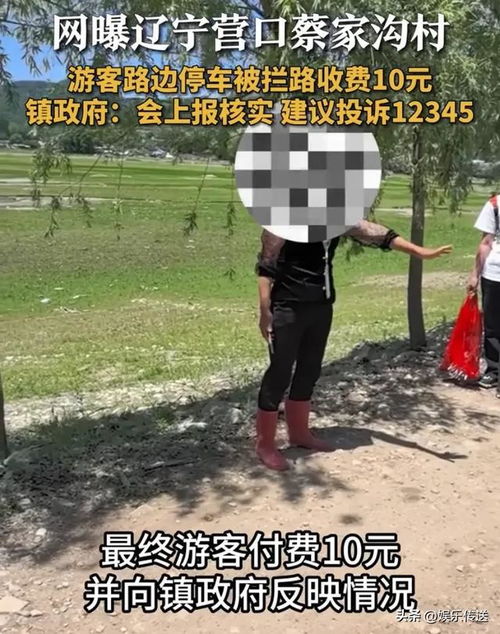 村民向游客要停车费