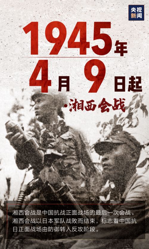 20年前甲鱼骗术重现